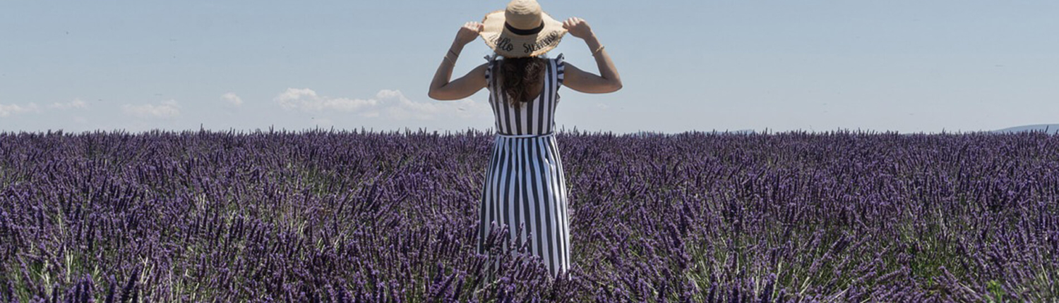 Frau mit weißem Hut im Lavendel-Feld