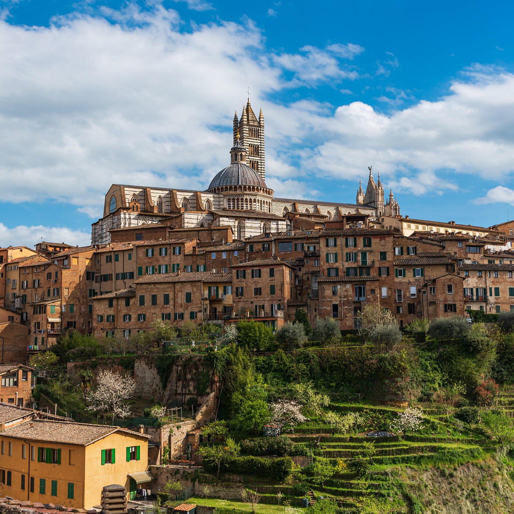Blick auf Sienna Toskana Italien