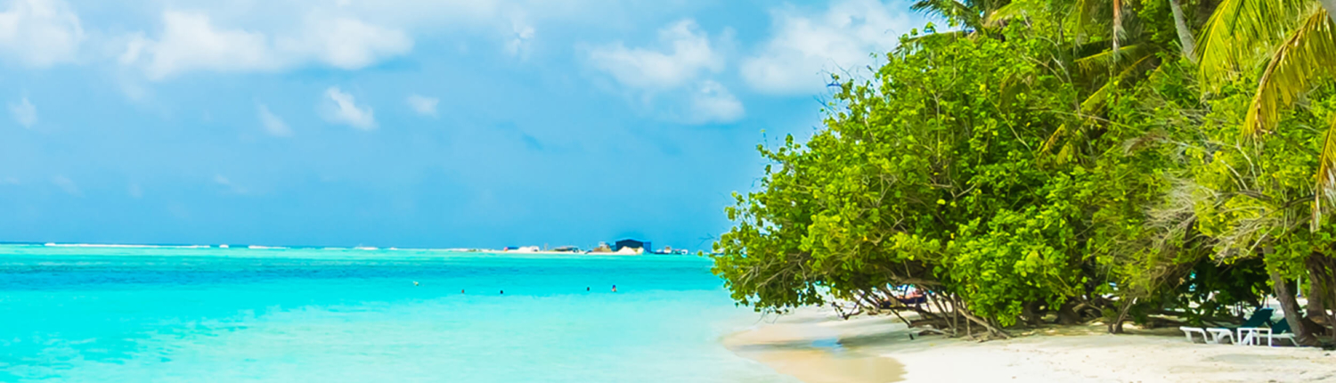 Strand auf den Malediven mit türkisfarbenen Meer und Palmen