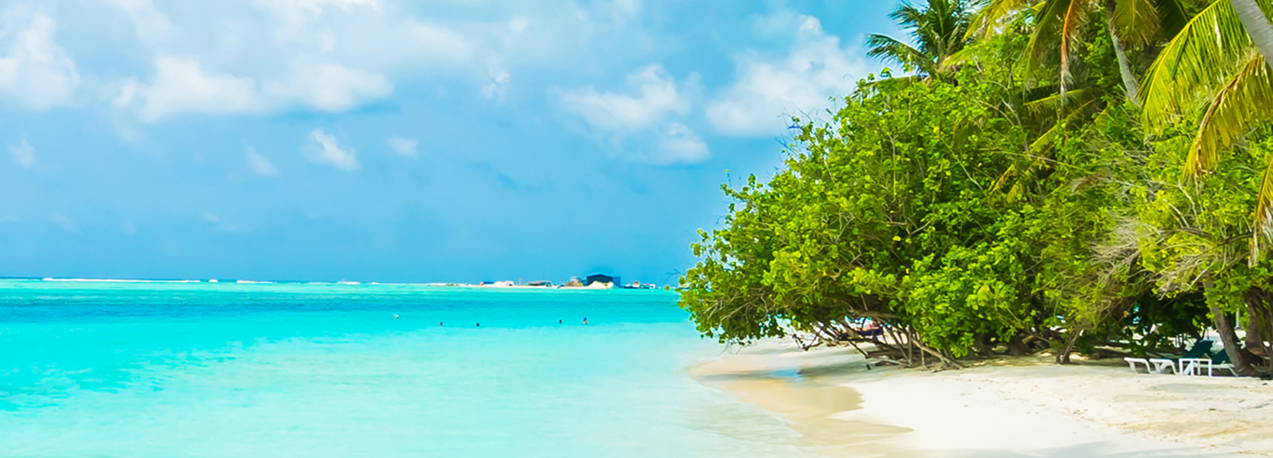 Strand auf den Malediven mit türkisfarbenen Meer und Palmen