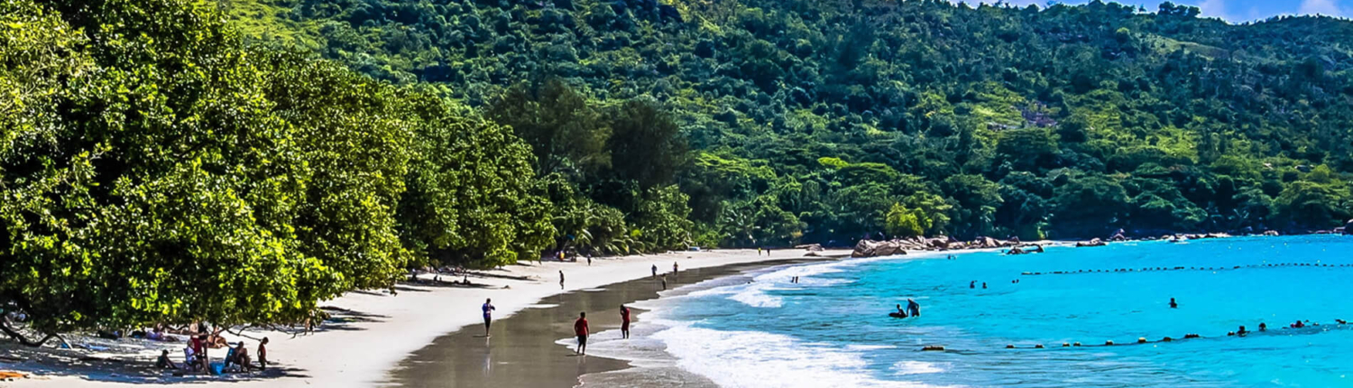 Strand auf den Seychellen umgeben vom Meer und viel Bäumen und blauen Himmel