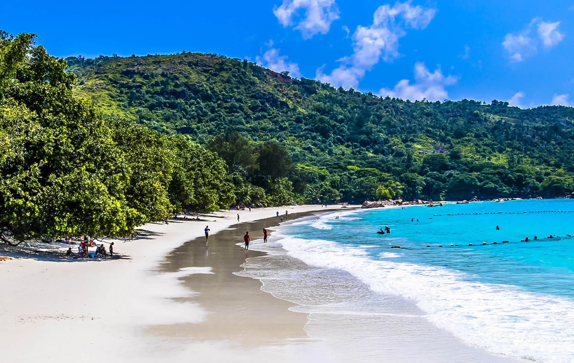 Strand auf den Seychellen umgeben vom Meer und viel Bäumen und blauen Himmel