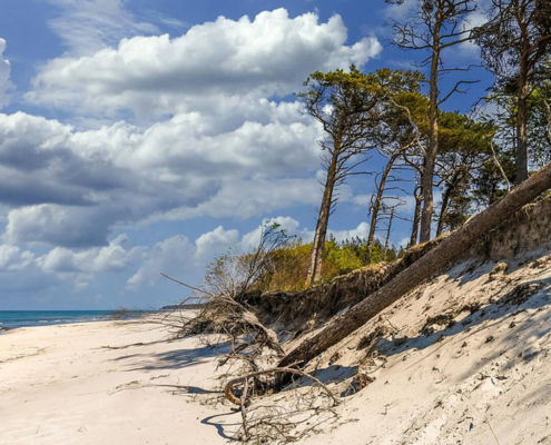 typische Landschaft auf dem Fischland Darss