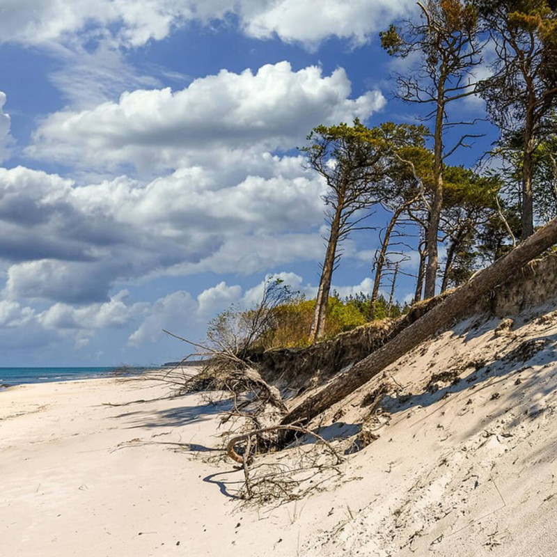 typische Landschaft auf dem Fischland Darss