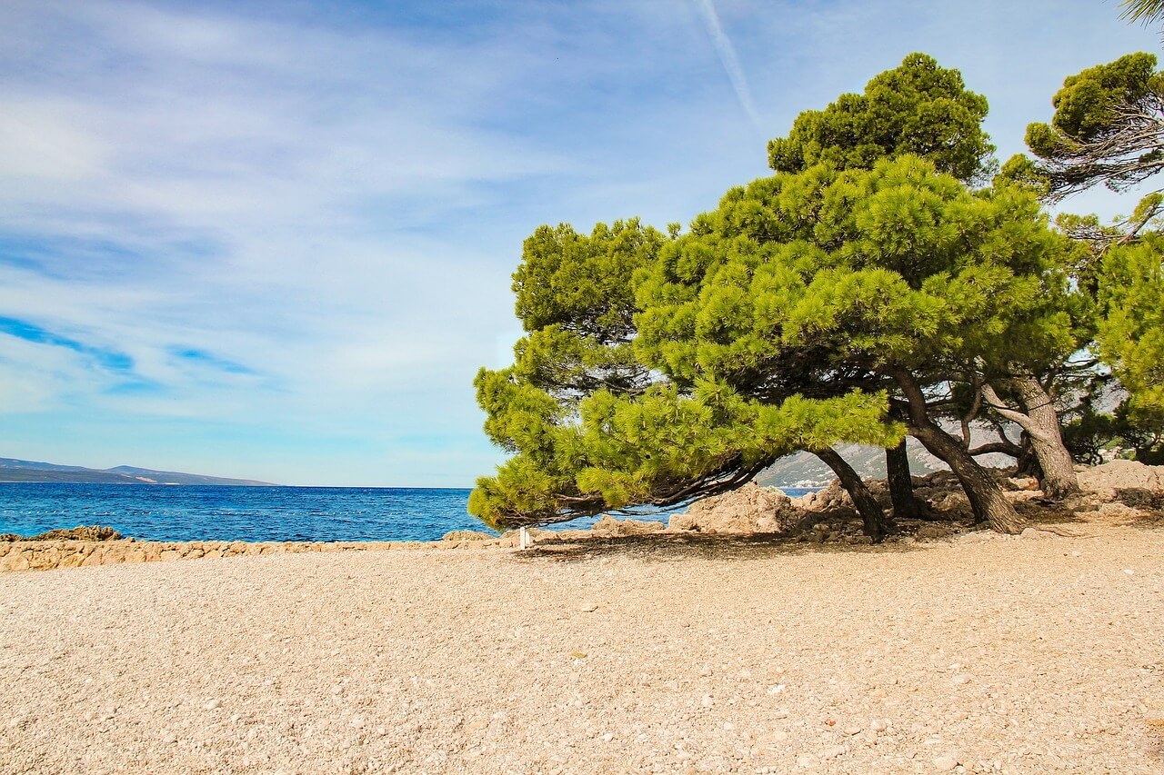 Blick auf den Strand Punta Rata in Brela an der Makarska-Riviera in Dalmatien Kroatien