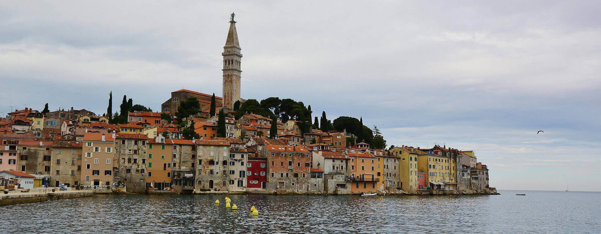 Blick auf die Altstade von Rovinj in Istrien in Kroatien