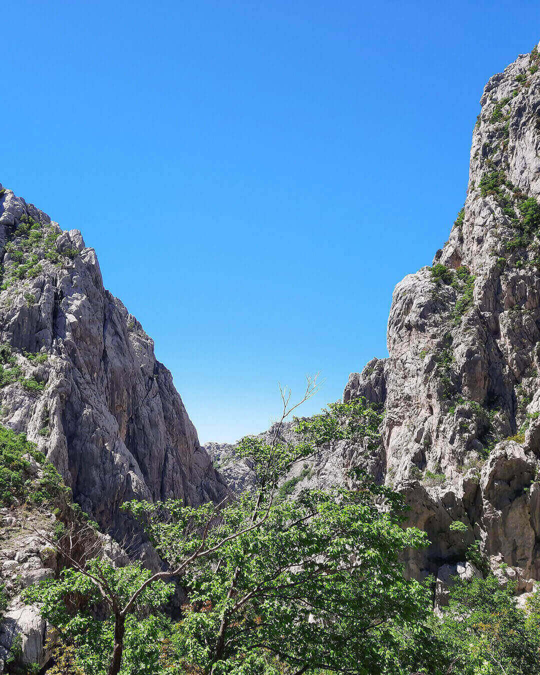 Blick auf die Schlucht im Nationalpark Paklenica in der nähe von Zadar in Kroatien
