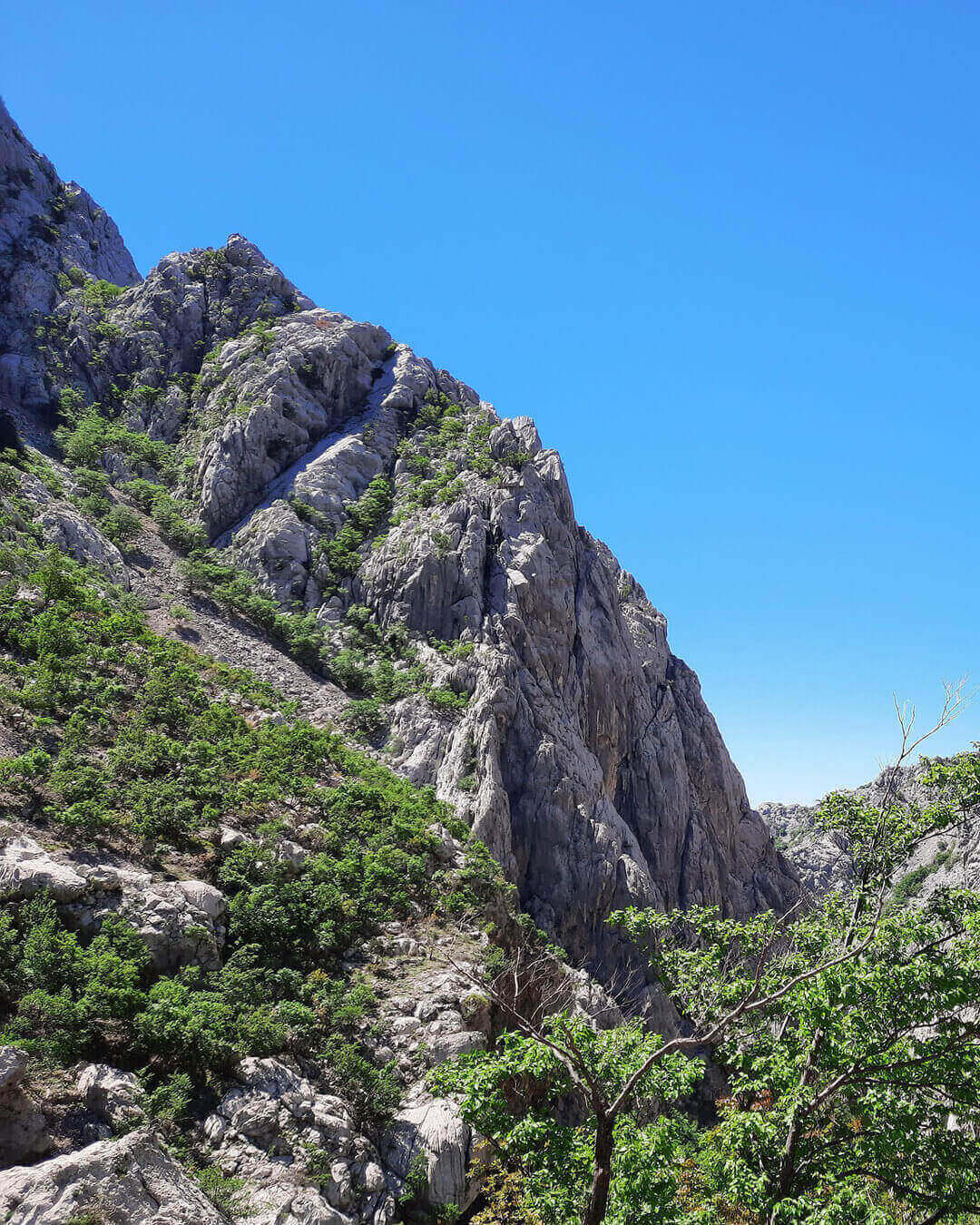 Eine typische Felswand in einer Schlucht im Nationalpark Paklenica in der Nähe von Zadar in Kroatien
